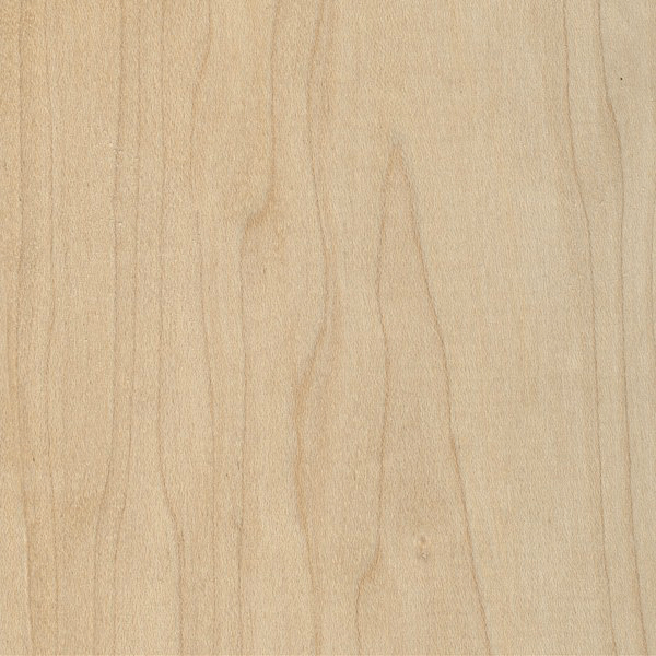 Hard Maple