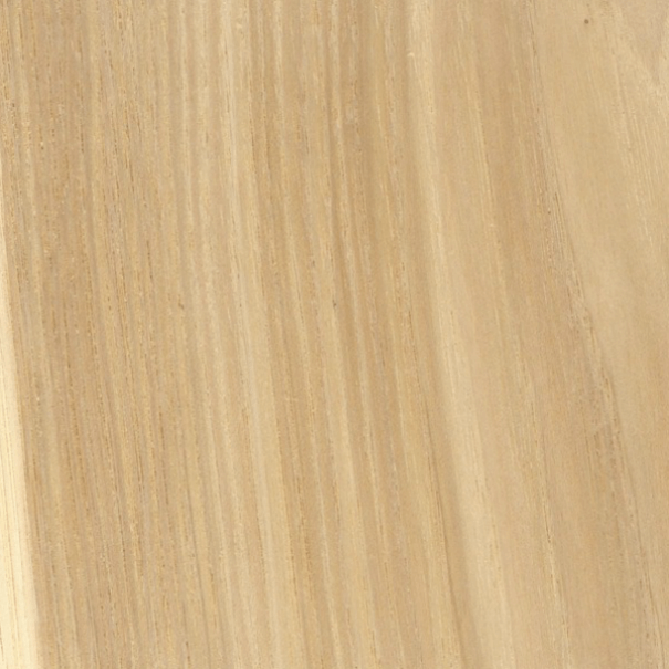 Hickory